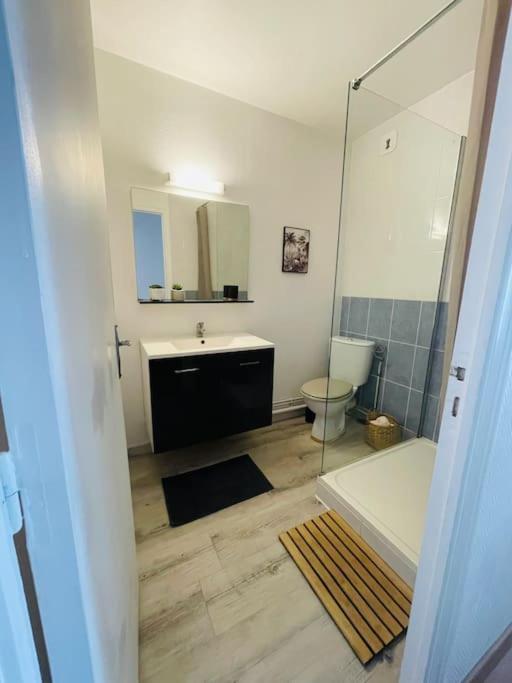 Bel Appartement Lumineux - 2 Voyageurs Le Mans Eksteriør bilde